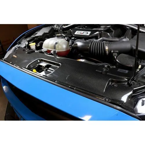 APR Radiator Cooling Plate | 2015  Ford Mustang GT (CF-205002)