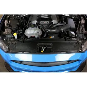 APR Radiator Cooling Plate | 2015  Ford Mustang GT (CF-205002)