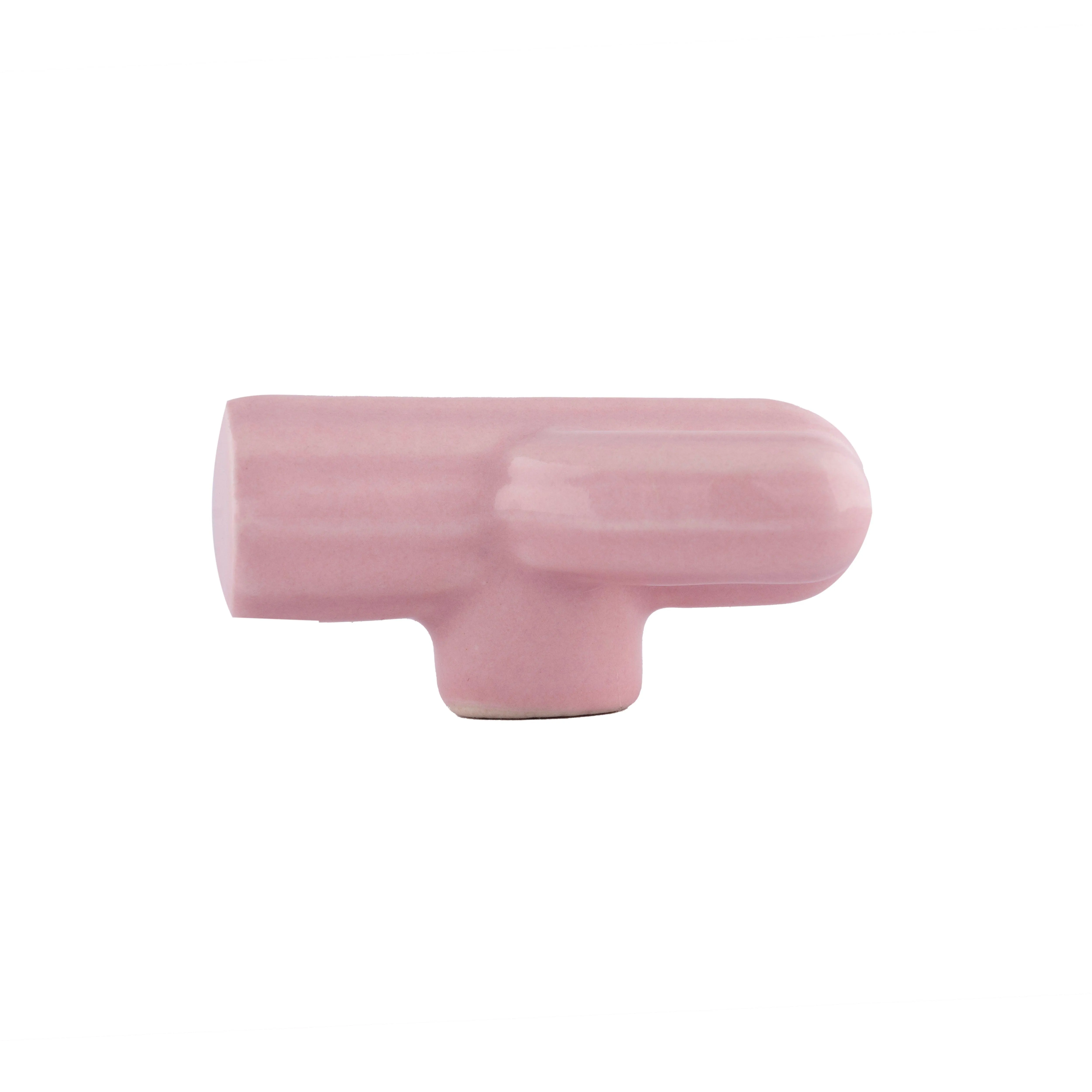 Cactus Knob