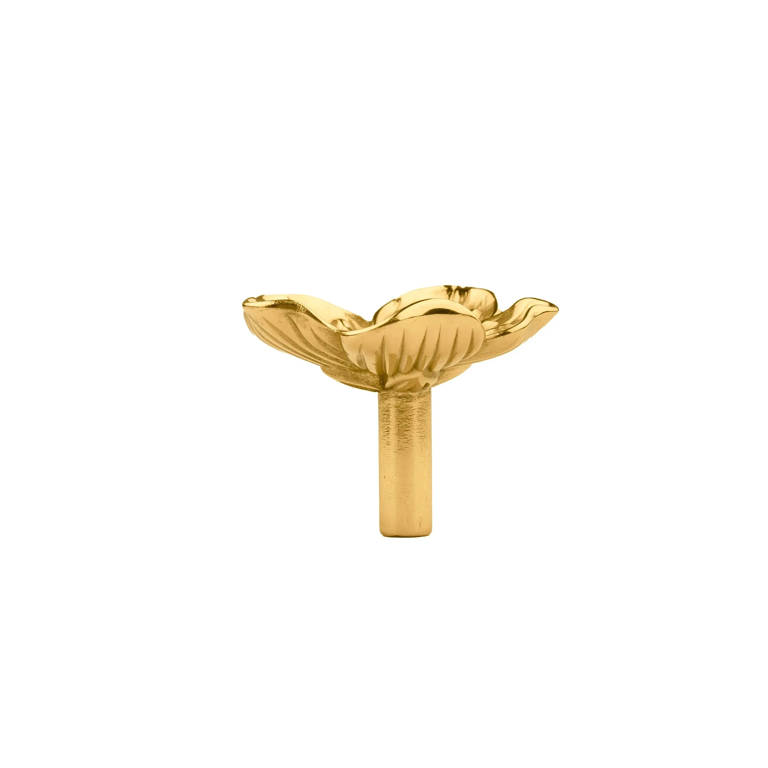 Flora Knob